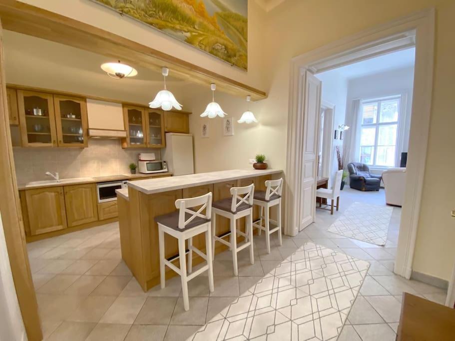 Spacious Andrassy 布达佩斯 外观 照片
